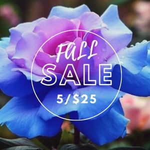 FALL SALE!!!